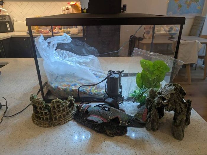 Fish tank and accessories