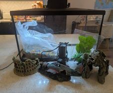 Fish tank and accessories