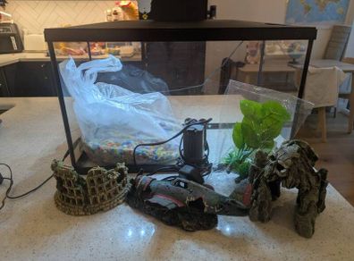Fish tank and accessories