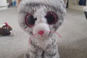 Grey and pink cat beanie boo