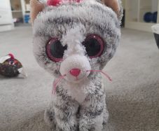 Grey and pink cat beanie boo
