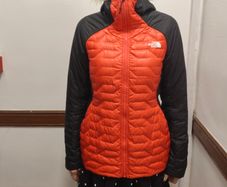 The North Face