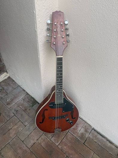 Mandolin