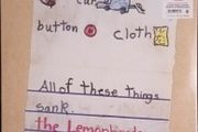 Lemonheads Car button cloth 2lp deluxe 2025 reissue