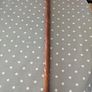 Walking Stick Image 2