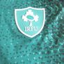 Ireland Rugby Cantebury Vapodri  Jersey XL Image 5