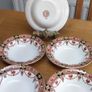Vintage Arklow 812 desert soup/ bowls Image 5