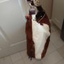 Cow hide handmade bag Image 6