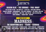 Forest Fest Family Weekend Tickets
