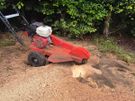 Stump removal Image 3
