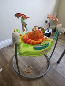 fisher price bouncer