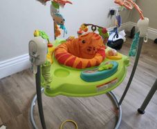 fisher price bouncer