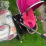 Buggy Image 3