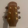 Walden G740CE / w Fishman PU | In Great Condition Image 2