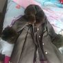girls dress& coat Image 8