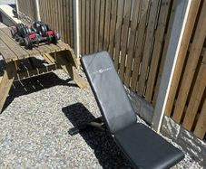 Adjustable Dumbbells and Weight Bench