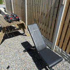 Adjustable Dumbbells and Weight Bench