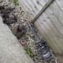 bmw e90 front shock (L) Image 2
