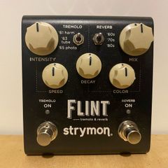 Strymon Flint V2
