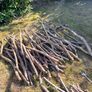 Firewood Image 3