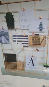 Metal Grid Noticeboard