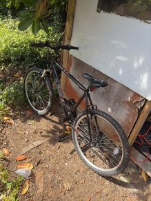 Adult  bike