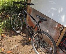 Adult  bike