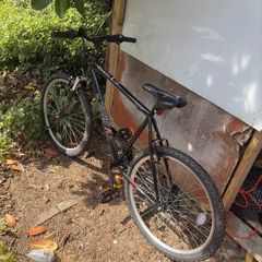 Adult  bike