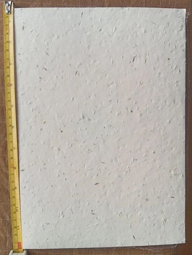 A4 Eco Bloom Plantable Seed Paper Natural