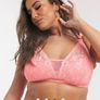 City Chic Curve Sexy glam lace bralette in Coral - 38C Image 3