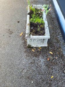 garden planter