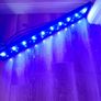 Marine Light Image 5