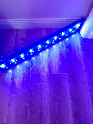 Marine Light