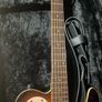 Godin Acousticaster Image 3