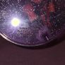 Aphmau MeeMeows Collectors Case - Ultima 4" Wolf Girl Figure Toy 2024 Image 5