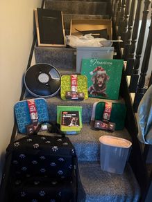 Dog bundle