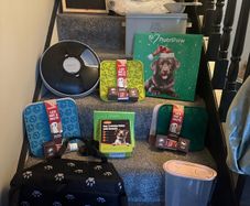 Dog bundle