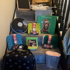 Dog bundle