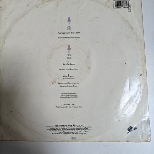 Cry Before Dawn,The seed that's been down 10" Irish Rock