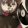 Nick Oliveri & Mondo Generator (Kyuss/QOTSA) - Dead Planet: SonicSlowMotionTrails Image 3