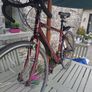 Bike Image 2