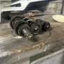 Yamaha TTR125LE Transmission Image 2
