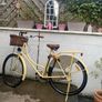 Txed Vintage Leopard print Bicycle Image 2