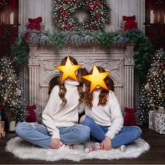 Christmas photography backdrop
