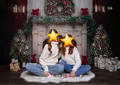 Christmas photography backdrop