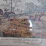 5 Antique Hunt Scene Pictures in Original Frames Postage Available or Collection is always welcome Image 10