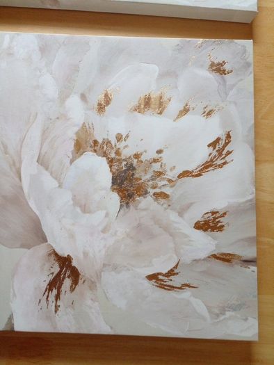 CANVAS prints  12 inches x 12 inches
