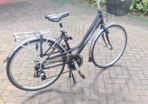 Raleigh Pioneer Metro LX