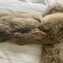 Vintage Fur Coat - Wolf - mid length Image 7