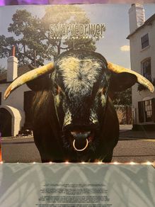 Swervedriver - Mezcal Head (Creation Records / First Press)